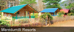 Maredumilli Resorts Bamboo Huts