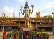Ayyappa Swamy Temple Dwarapudi