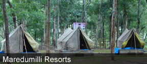 Maredumilli Resorts