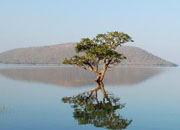 Pakhal Lake