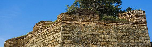 Nirmal Fort