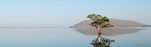Pakhal Lake